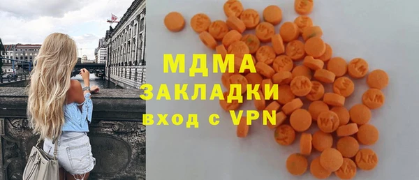 индика Новодвинск