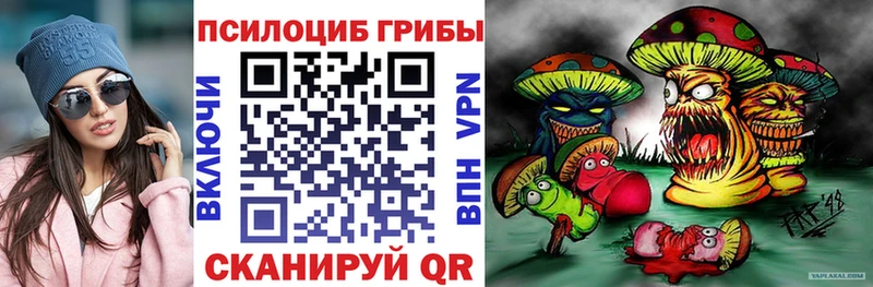 Псилоцибиновые грибы мицелий  Солигалич 