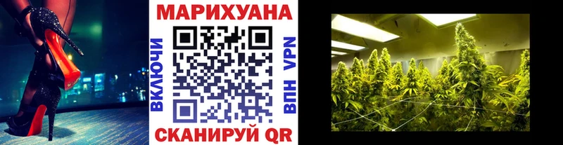 купить наркоту  Солигалич  Бошки Шишки OG Kush 